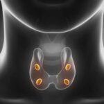 Parathyroid