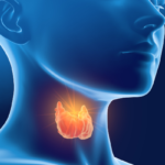 Thyroid